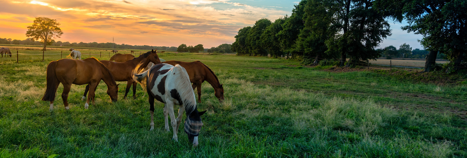 The Finest Ranches and Rural Properties in Beautiful Northern British Columbia